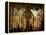 Penitents Follow La Macarena During a Holy Week Procession-null-Framed Premier Image Canvas