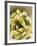 Penne with Pesto-null-Framed Photographic Print