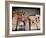 Penne-Andrea Costantini-Framed Photographic Print