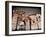 Penne-Andrea Costantini-Framed Photographic Print