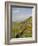 Pennine Way Crossing Near Turret 37A, Hadrians Wall, Unesco World Heritage Site, England-James Emmerson-Framed Photographic Print