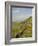 Pennine Way Crossing Near Turret 37A, Hadrians Wall, Unesco World Heritage Site, England-James Emmerson-Framed Photographic Print