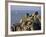 Penninis Point, St. Mary's, Isles of Scilly, United Kingdom-Adam Woolfitt-Framed Photographic Print