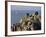 Penninis Point, St. Mary's, Isles of Scilly, United Kingdom-Adam Woolfitt-Framed Photographic Print