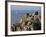 Penninis Point, St. Mary's, Isles of Scilly, United Kingdom-Adam Woolfitt-Framed Photographic Print