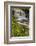 Pennsylvania, Benton, Ricketts Glen SP. Delaware Falls Cascade-Jay O'brien-Framed Photographic Print