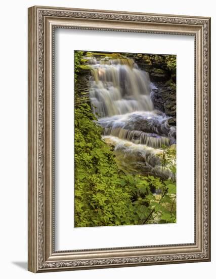 Pennsylvania, Benton, Ricketts Glen SP. Delaware Falls Cascade-Jay O'brien-Framed Photographic Print