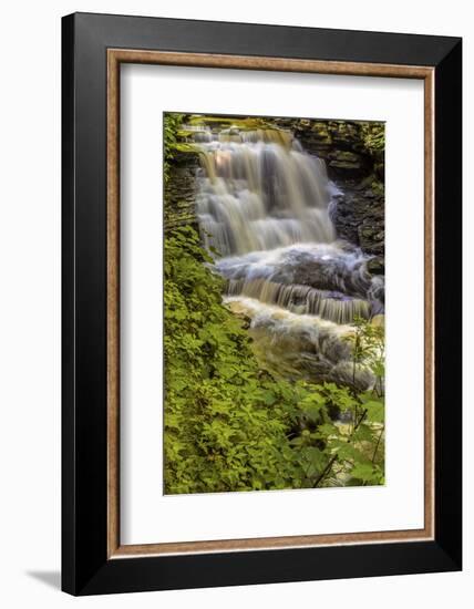 Pennsylvania, Benton, Ricketts Glen SP. Delaware Falls Cascade-Jay O'brien-Framed Photographic Print