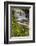 Pennsylvania, Benton, Ricketts Glen SP. Delaware Falls Cascade-Jay O'brien-Framed Photographic Print