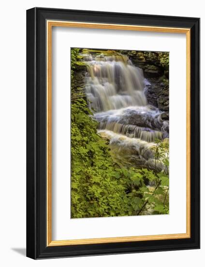 Pennsylvania, Benton, Ricketts Glen SP. Delaware Falls Cascade-Jay O'brien-Framed Photographic Print