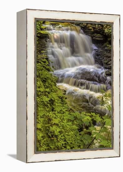 Pennsylvania, Benton, Ricketts Glen SP. Delaware Falls Cascade-Jay O'brien-Framed Premier Image Canvas