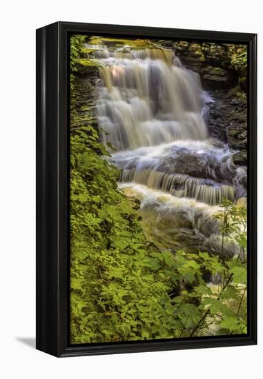 Pennsylvania, Benton, Ricketts Glen SP. Delaware Falls Cascade-Jay O'brien-Framed Premier Image Canvas