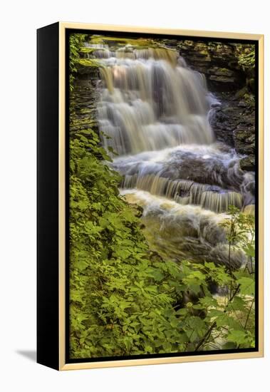Pennsylvania, Benton, Ricketts Glen SP. Delaware Falls Cascade-Jay O'brien-Framed Premier Image Canvas