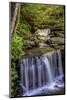 Pennsylvania, Benton, Ricketts Glen SP. Delaware Falls Cascade-Jay O'brien-Mounted Photographic Print