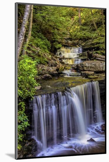 Pennsylvania, Benton, Ricketts Glen SP. Delaware Falls Cascade-Jay O'brien-Mounted Photographic Print