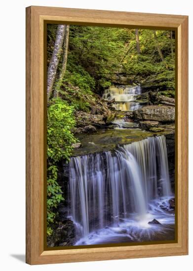 Pennsylvania, Benton, Ricketts Glen SP. Delaware Falls Cascade-Jay O'brien-Framed Premier Image Canvas