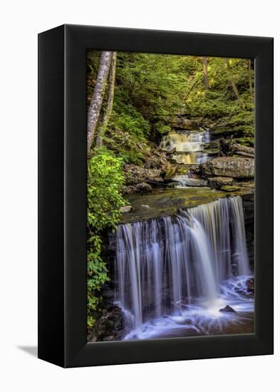 Pennsylvania, Benton, Ricketts Glen SP. Delaware Falls Cascade-Jay O'brien-Framed Premier Image Canvas