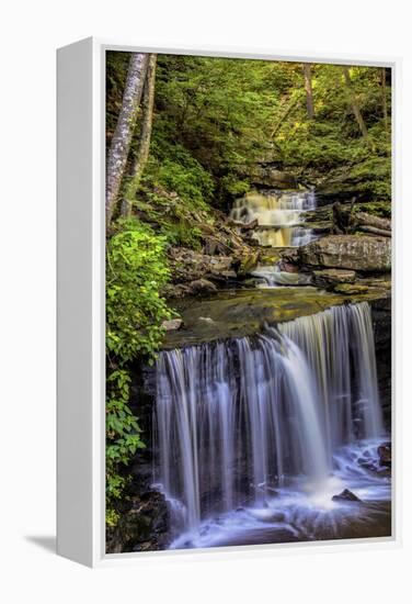 Pennsylvania, Benton, Ricketts Glen SP. Delaware Falls Cascade-Jay O'brien-Framed Premier Image Canvas