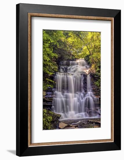 Pennsylvania, Benton, Ricketts Glen State Park. Ganoga Falls Cascade-Jay O'brien-Framed Photographic Print