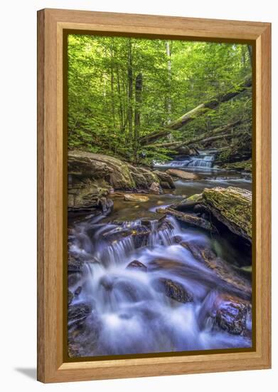 Pennsylvania, Benton, Ricketts Glen State Park. Kitchen Creek Cascade-Jay O'brien-Framed Premier Image Canvas