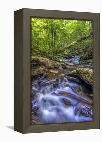 Pennsylvania, Benton, Ricketts Glen State Park. Kitchen Creek Cascade-Jay O'brien-Framed Premier Image Canvas