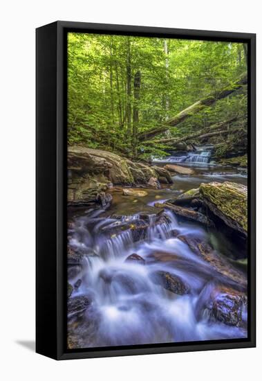 Pennsylvania, Benton, Ricketts Glen State Park. Kitchen Creek Cascade-Jay O'brien-Framed Premier Image Canvas