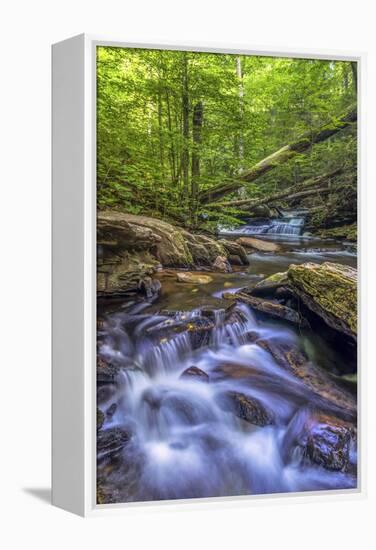 Pennsylvania, Benton, Ricketts Glen State Park. Kitchen Creek Cascade-Jay O'brien-Framed Premier Image Canvas