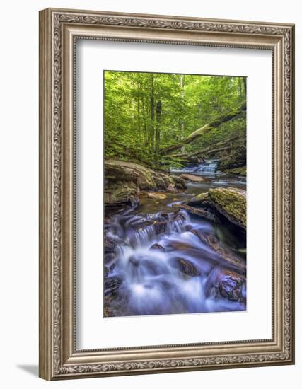 Pennsylvania, Benton, Ricketts Glen State Park. Kitchen Creek Cascade-Jay O'brien-Framed Photographic Print