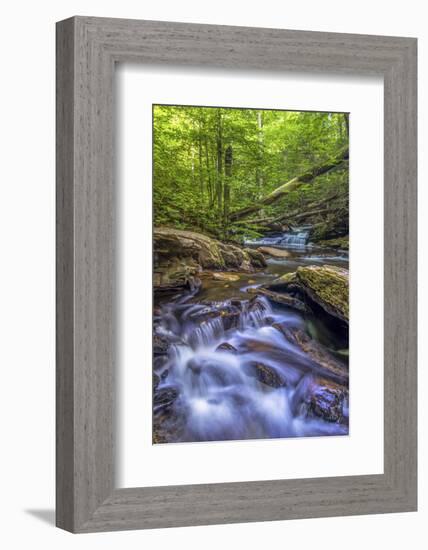 Pennsylvania, Benton, Ricketts Glen State Park. Kitchen Creek Cascade-Jay O'brien-Framed Photographic Print