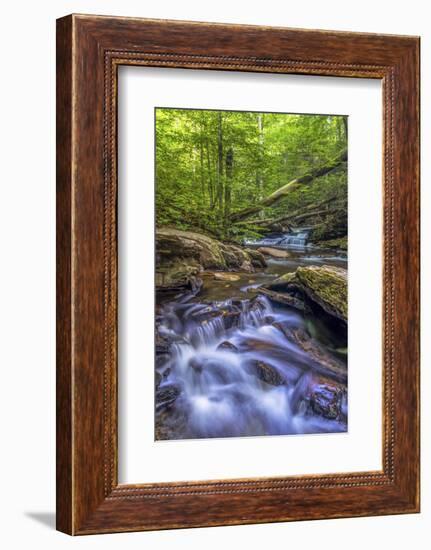 Pennsylvania, Benton, Ricketts Glen State Park. Kitchen Creek Cascade-Jay O'brien-Framed Photographic Print