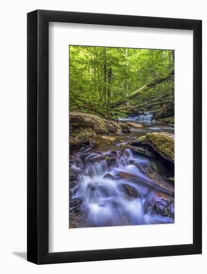 Pennsylvania, Benton, Ricketts Glen State Park. Kitchen Creek Cascade-Jay O'brien-Framed Photographic Print