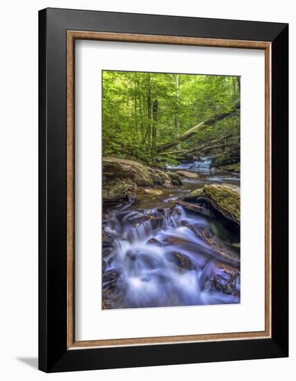 Pennsylvania, Benton, Ricketts Glen State Park. Kitchen Creek Cascade-Jay O'brien-Framed Photographic Print