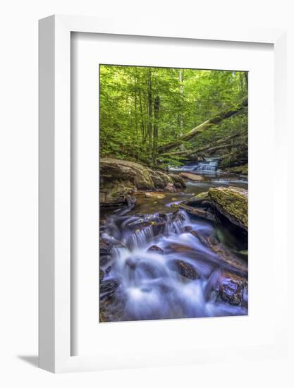 Pennsylvania, Benton, Ricketts Glen State Park. Kitchen Creek Cascade-Jay O'brien-Framed Photographic Print