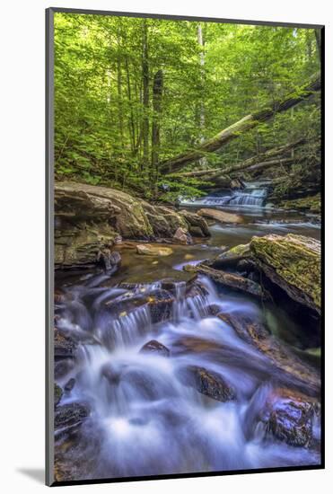 Pennsylvania, Benton, Ricketts Glen State Park. Kitchen Creek Cascade-Jay O'brien-Mounted Photographic Print