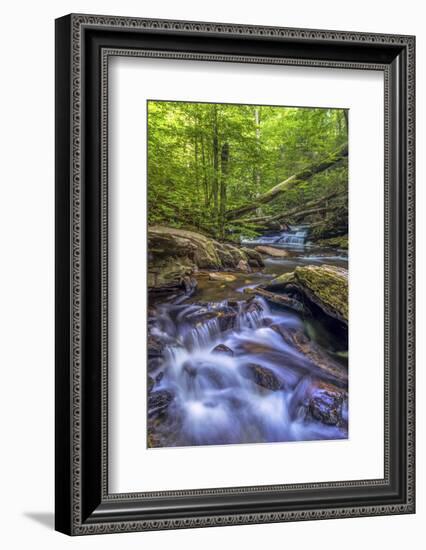 Pennsylvania, Benton, Ricketts Glen State Park. Kitchen Creek Cascade-Jay O'brien-Framed Photographic Print