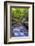 Pennsylvania, Benton, Ricketts Glen State Park. Kitchen Creek Cascade-Jay O'brien-Framed Photographic Print