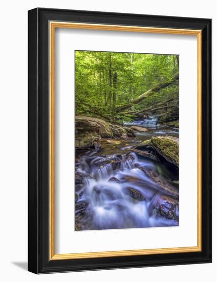 Pennsylvania, Benton, Ricketts Glen State Park. Kitchen Creek Cascade-Jay O'brien-Framed Photographic Print