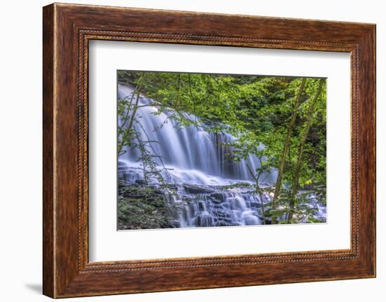 Pennsylvania, Benton, Ricketts Glen State Park. Mohawk Falls Cascade-Jay O'brien-Framed Photographic Print