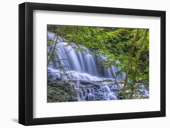 Pennsylvania, Benton, Ricketts Glen State Park. Mohawk Falls Cascade-Jay O'brien-Framed Photographic Print