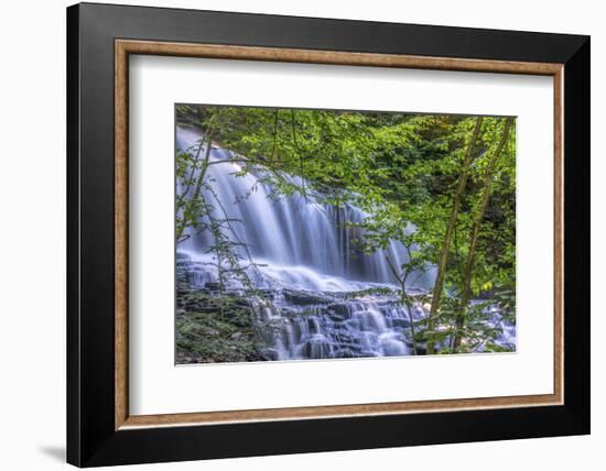 Pennsylvania, Benton, Ricketts Glen State Park. Mohawk Falls Cascade-Jay O'brien-Framed Photographic Print