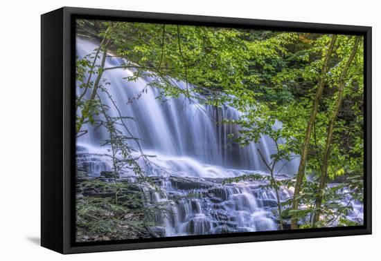 Pennsylvania, Benton, Ricketts Glen State Park. Mohawk Falls Cascade-Jay O'brien-Framed Premier Image Canvas