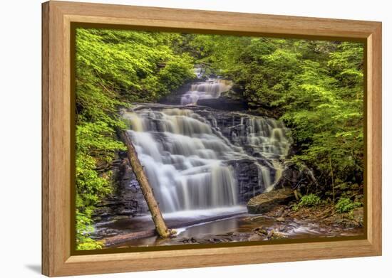 Pennsylvania, Benton, Ricketts Glen State Park. Mohican Falls Cascade-Jay O'brien-Framed Premier Image Canvas