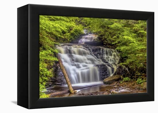 Pennsylvania, Benton, Ricketts Glen State Park. Mohican Falls Cascade-Jay O'brien-Framed Premier Image Canvas