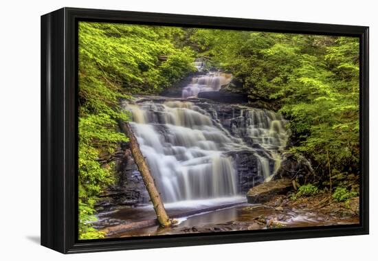 Pennsylvania, Benton, Ricketts Glen State Park. Mohican Falls Cascade-Jay O'brien-Framed Premier Image Canvas