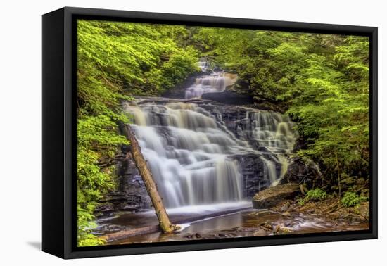 Pennsylvania, Benton, Ricketts Glen State Park. Mohican Falls Cascade-Jay O'brien-Framed Premier Image Canvas