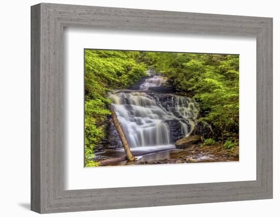 Pennsylvania, Benton, Ricketts Glen State Park. Mohican Falls Cascade-Jay O'brien-Framed Photographic Print