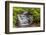 Pennsylvania, Benton, Ricketts Glen State Park. Mohican Falls Cascade-Jay O'brien-Framed Photographic Print