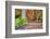 Pennsylvania, Benton. Split Rail Fence in Ricketts Glen State Park-Jay O'brien-Framed Photographic Print