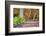 Pennsylvania, Benton. Split Rail Fence in Ricketts Glen State Park-Jay O'brien-Framed Photographic Print