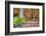 Pennsylvania, Benton. Split Rail Fence in Ricketts Glen State Park-Jay O'brien-Framed Photographic Print